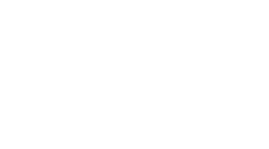 Party in the Sky